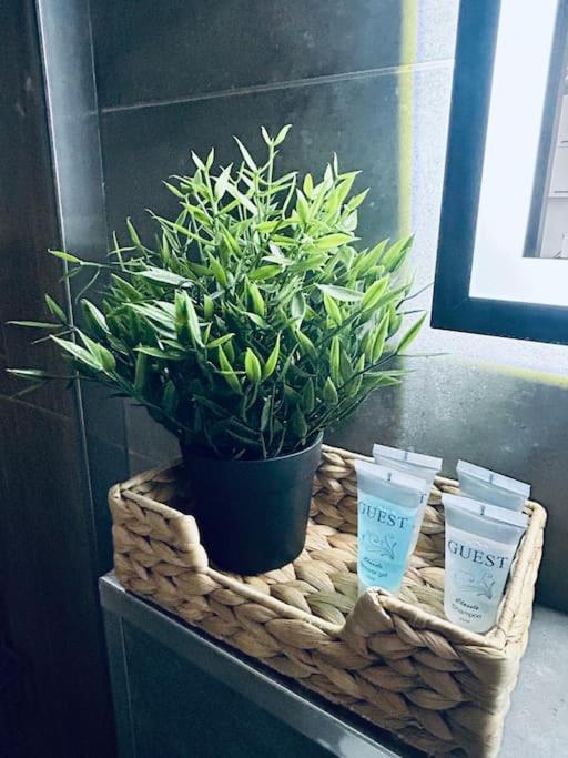 Apartament Stary Щецин Экстерьер фото
