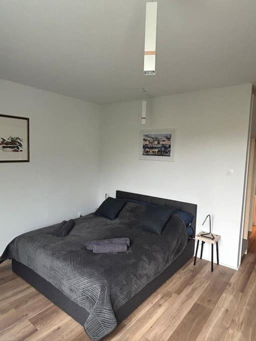Apartament Stary Щецин Экстерьер фото