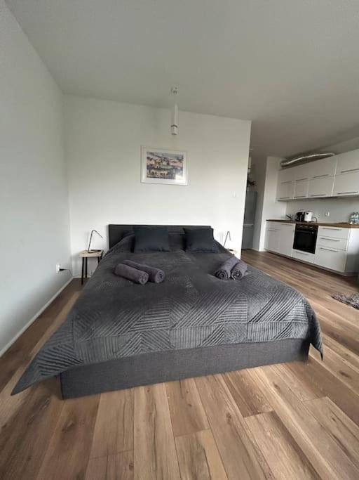 Apartament Stary Щецин Экстерьер фото
