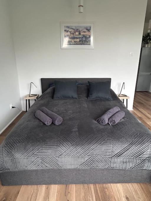 Apartament Stary Щецин Экстерьер фото